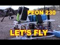 Полет на PEON 230 коптер на 3D пирнтере
