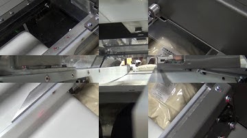 51841 BluePrint Automation RGP Case Packer