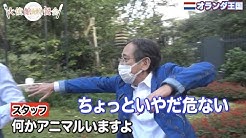 大使館晩餐会 Taishikanbansankai Youtube