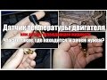 Датчик температуры двигателя - что это, как выглядит