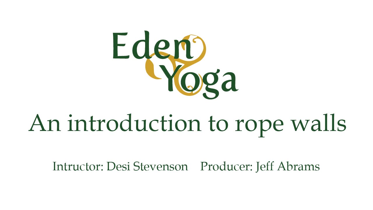 An introduction to rope walls