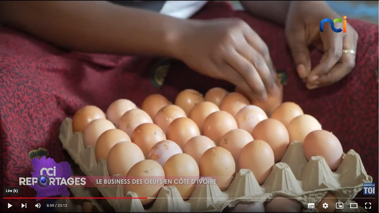 NCI Reportages | Le business des œufs en Côte d'Ivoire