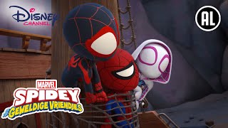 Spidey | Problematisch schatzoeken | Disney Channel NL