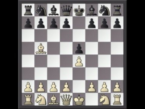 Portuguese Opening - Chess Openings 