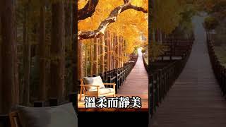 放鬆音樂 溫柔而靜美,靜心冥想,聆聽自我,深度放鬆身心 #放鬆音樂 #輕音樂 #冥想音樂 #深度睡眠 #舒壓按摩音樂 #睡眠音樂 #鋼琴音樂 #鋼琴曲 #輕音樂 #純音樂 #轻音乐 #冥想音樂