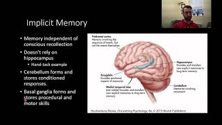 PSY111 CH6PT8: Neurobiology of Memory