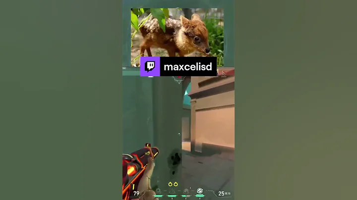 ACE Clutch en ECO :P | maxcelisd de #Twitch