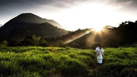 Two Futures | Amazon Conservation Team with Jeff Bridges