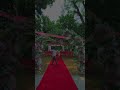 #music #love #song #punjabisong Welcome to the pink wedding❣️
