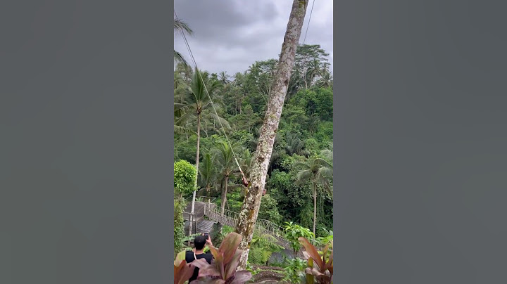 Bali Swing Accident #shocking #baliswing #indonesia #shorts  #ytshorts #youtubeshorts #reels #travel