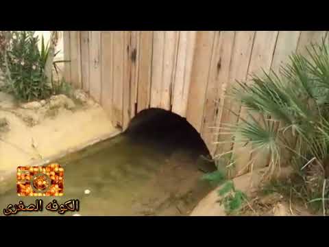 اغنية نفطة ولكنز مع الكوفه الصغرى نفطة