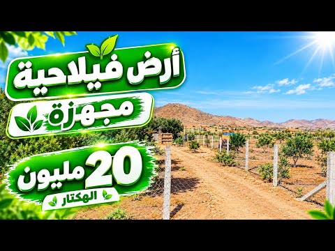 أرض للبيع مجهزة 20 مليون الهكتار فيها كولشي في موقع زوين