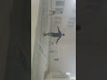 Badminton @gecbhojpur December 26th, 2025