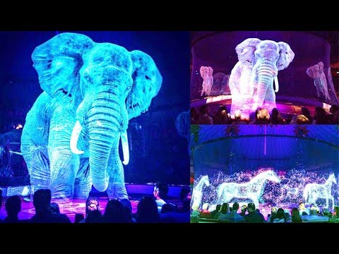 Video: Duits Circus Met Holografische Dieren