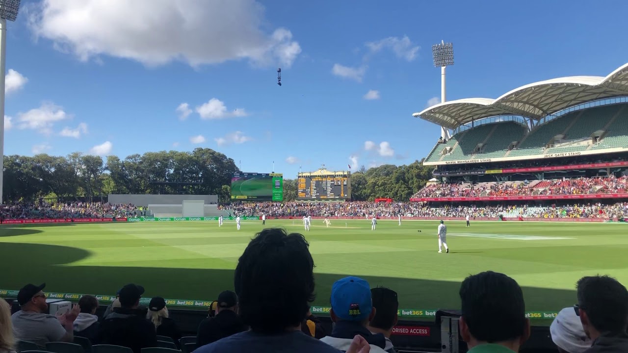 David Warner’s 300 Vs Pakistan 2019