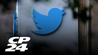 Is anti-semitism growing with the constant rise in social media use?