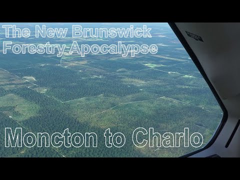 Moncton to Charlo: The New Brunswick Forestry Apocalypse #clearcutting #newbrunswick