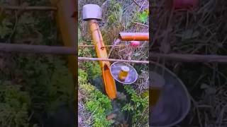 Pest Repellent Farm Tools #farming #shorts