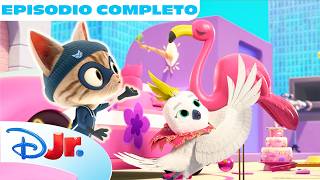 La catastrofe in rosa / Sfida tra cattivi 💕 🦹 | Super Kitty | Episodio Completo