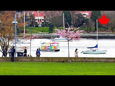 【Vancouver 2026】🇨🇦 1 Minute -David Lam Park 34- 🌸