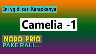 KARAOKE CAMELIA 1 - NADA PRIA