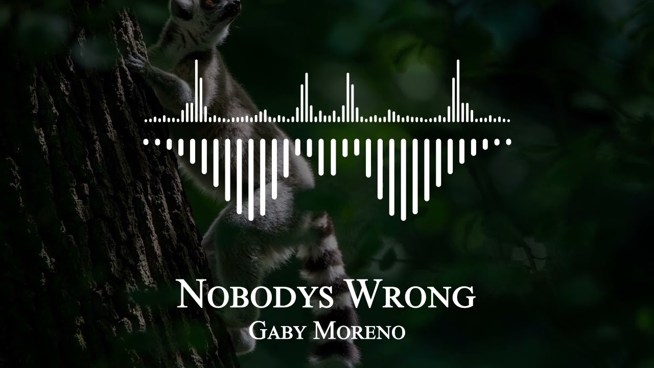 Ver Gaby Moreno - Nobodys Wrong no YouTube
