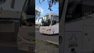 Vivabus Irizar I6 Scania.