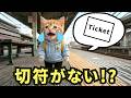 切符がないにゃ！？電車で迷子になった猫はどうなる？　“I don’t have a ticket, meow!?” What happens to a lost cat on the train?