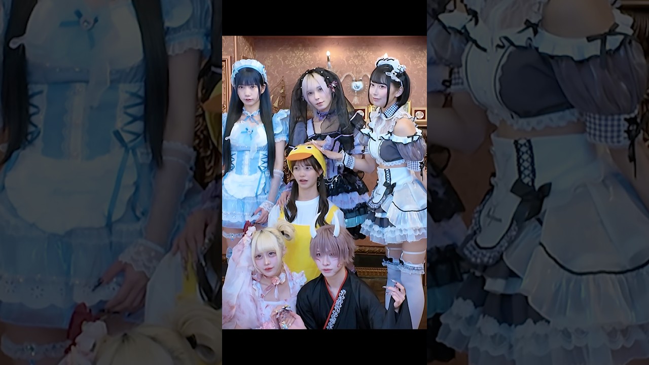 MOVIE | シンデレラの犬 Project