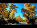 Spectacular Fall Season Drive Near Aspen, Colorado