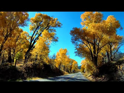 Video: Restoran Aspen Terbaik Dan Pemandangan Fall Foliage Di Colorado