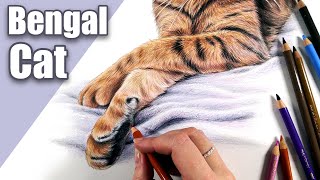 How to draw and color Cat Fur STEP by STEP!