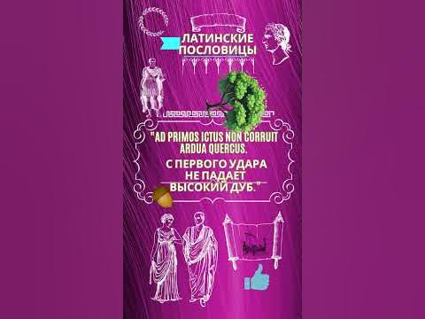 Цитата Латинские пословицы - YouTube