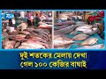 পৌষ সংক্রান্তিতে দেখা গেল আড়াই লাখের বাঘাই | Fish Fair | Baghair Fish | Rtv News