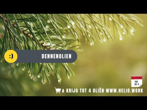 Video: Hoe Maak Je Dennenolie?