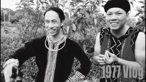 Hài Tiếng Thái 1977 Vlog _ Nghề Mua Keo