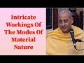 Radhanath Swami lecture on Intricate Workings Of The Modes Of Material Nature