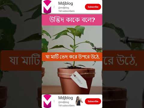 ভিডিও: উদ্ভিদ বলতে কাকে বোঝায়?