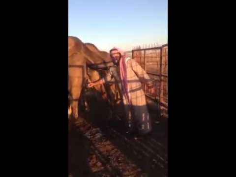 piss-drinking-blogs-romanian-village-sex-video