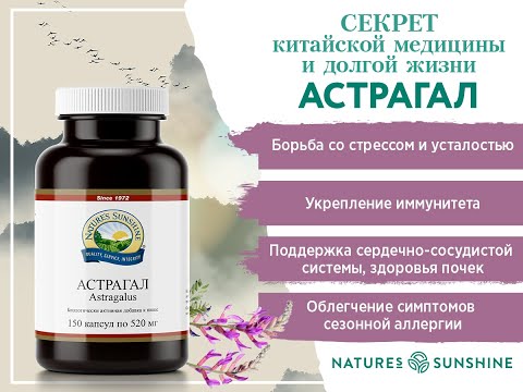 Астрагал NSP.