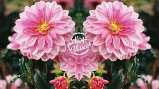 Video thumbnail of "Flume - Insane (feat. Moon Holiday)"