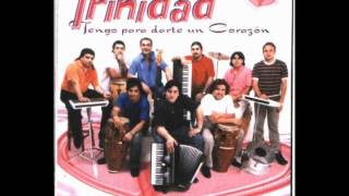 Video thumbnail of "Grupo Trinidad- Amor, como te fue"