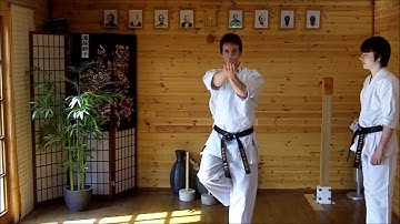 Kata Bunkai Video Tutorial 12 - Wanshu (Empi) Kata