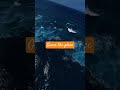 where the horizon whispers possibilities#funny shorts