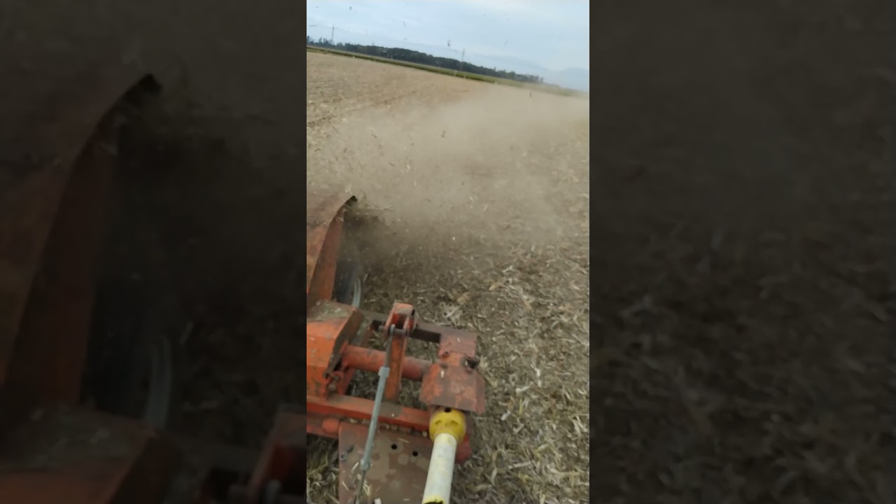 trincia stocchi con URSUS C355 e trincia ZUCCO 2 file.