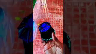 R15V3 Air Filter Sound Modified