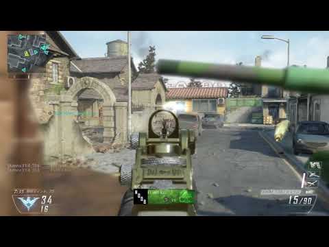 【Bo2】新最強カスタム考案しました