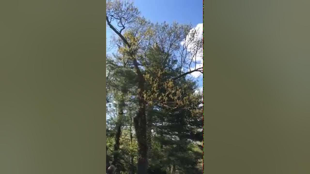 Antenna Install via Quadcopter YouTube