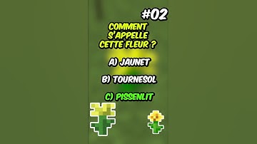 Petit Quizz sur Minecraft ! #Shorts