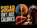 What Sugar Does Inside Your Body: The Hidden Biochemistry Of Sugar